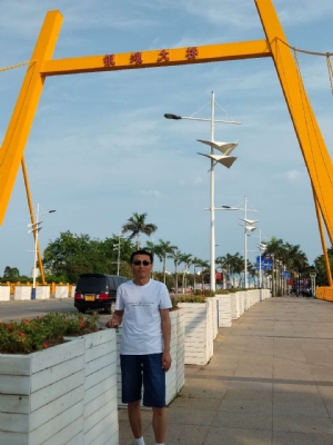 成县【陇徽苗木】征婚交友