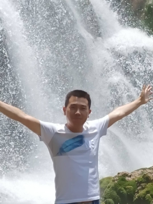 凯里【挪威森林】征婚交友