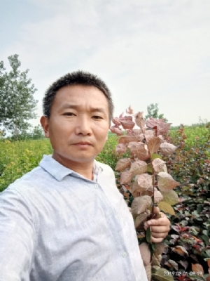 新沂【孩子爸】征婚交友