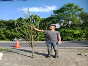 台湾【jeff】相亲微信群